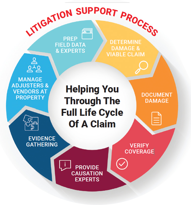 litigation-support-process
